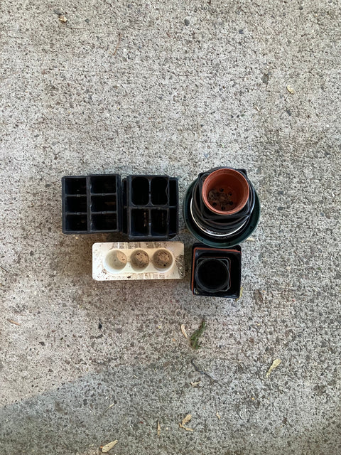 Bunch of Small Plastic Plant Pots