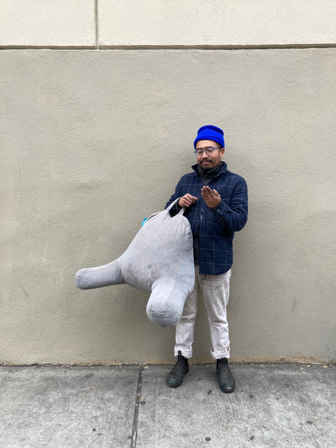 Crazy Reading Pillow