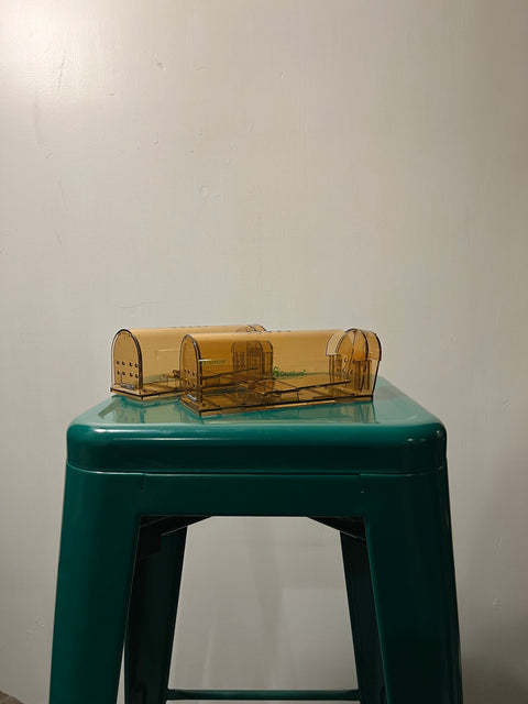 Humane Mouse Traps