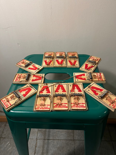 Loooots of mouse traps