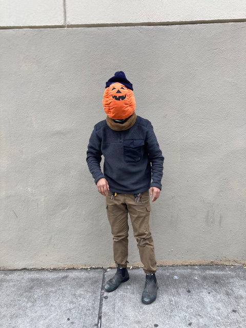 Pumpkin Dog Costume