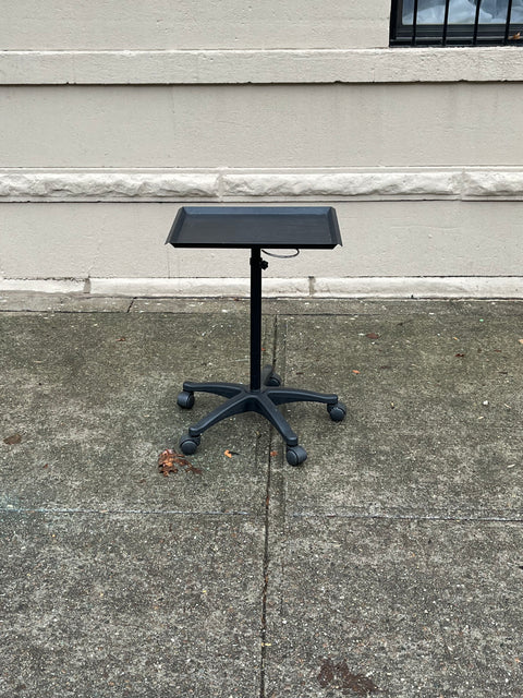 Salon Rolling Cart Tray