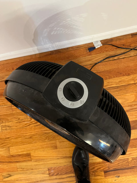 Serious Lasko Cyclone 3 Speed Floor Fan, 20"
