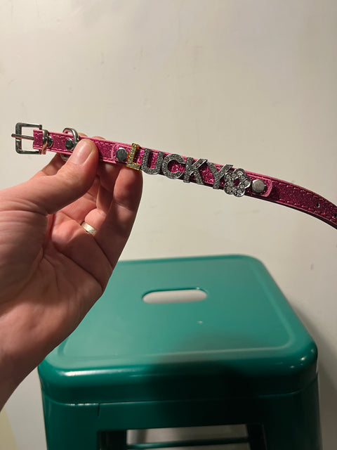 Lucky Dog Collar