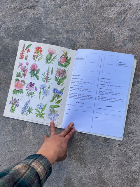 Coloring Book for Adults