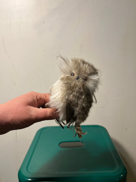 Weird Bird Statue