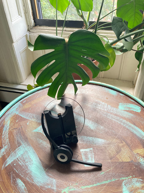 Jabra 930 Pro Wireless Headset