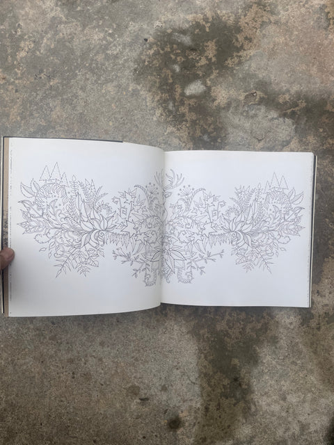 Enchanted Forest Coloring Book