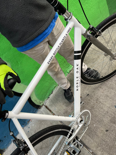 Another Used Once Solé Single Speed Bike, 52cm