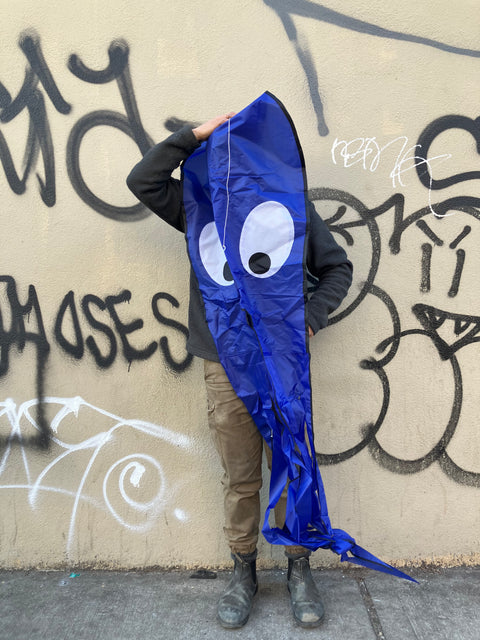 Jellyfish Skyborne Kite