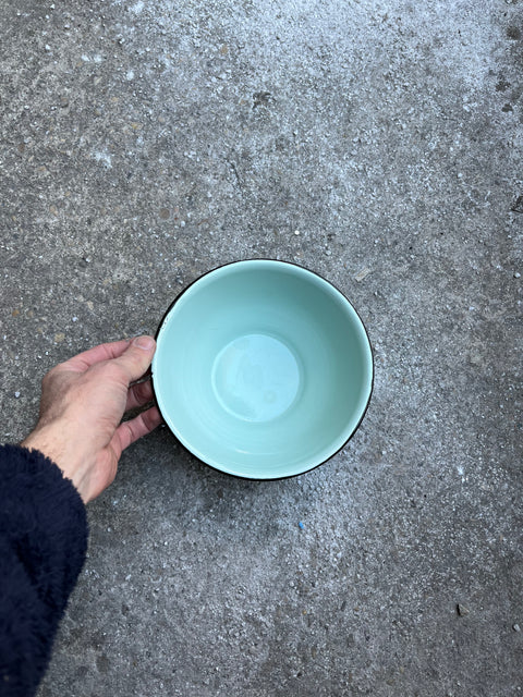 Charming Enamel Mint Green Bowl