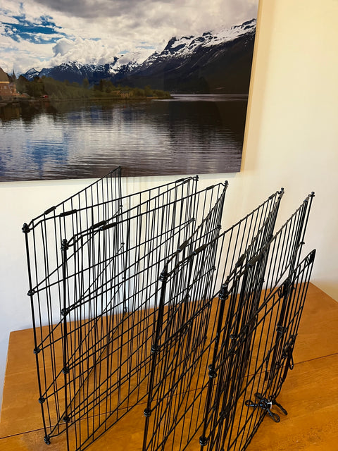 Foldable Crate For A Small Dog, W24xH24"