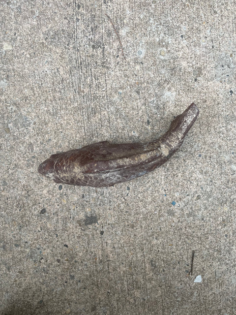 Decorative Fish Sculpture