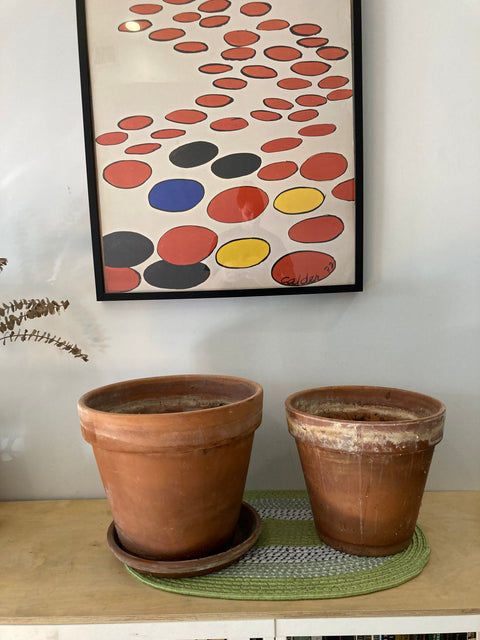 2 Large Plant Pots
