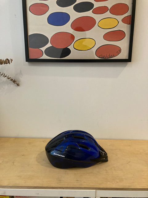 Schwinn Bike Helmet