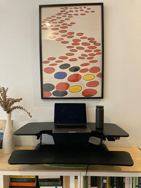Flexispot Standing Desk