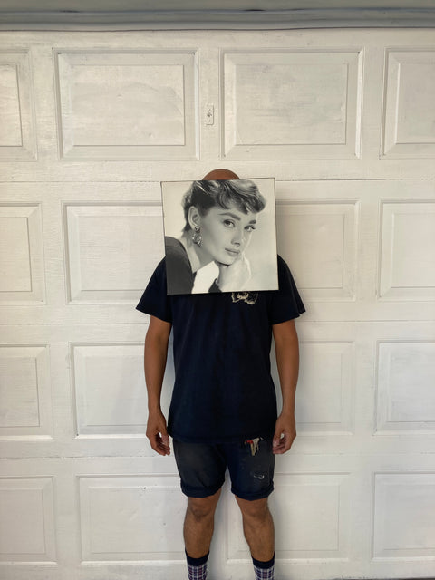 Audrey Hepburn Frame