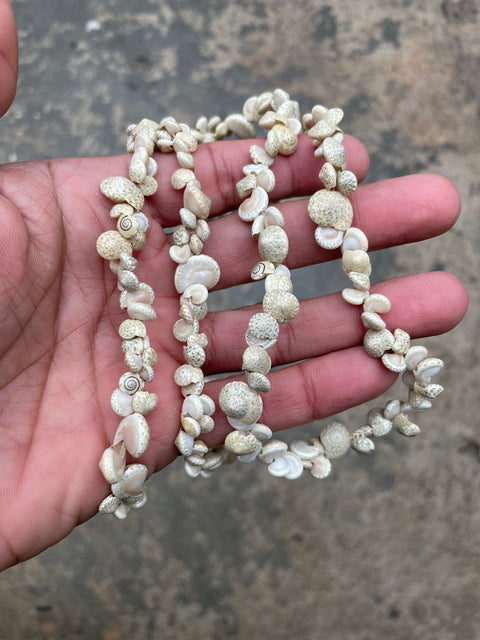 Beachy Shell Necklace