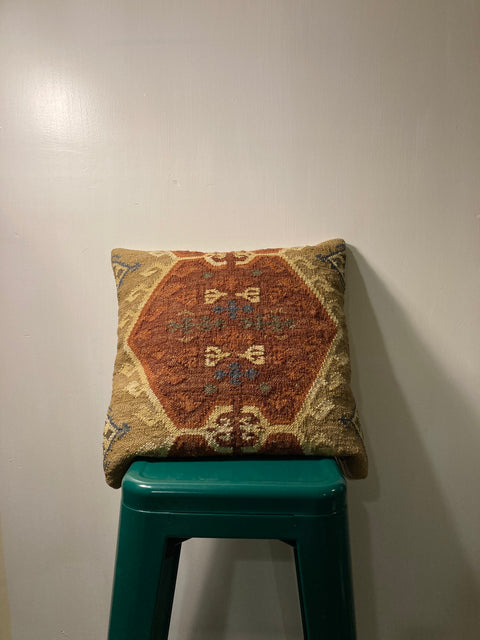 Cute Cushion