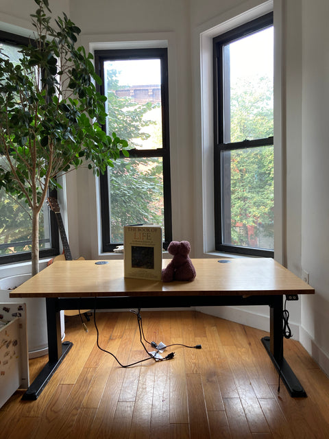 Large Electric Standing Desk