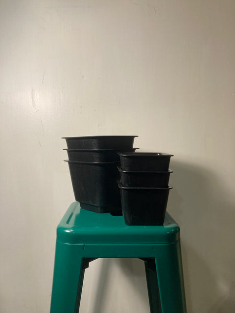 Bunch of Planters