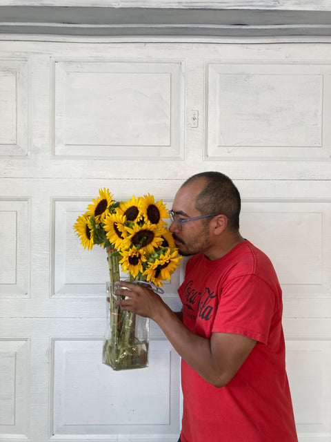12 Or So Sunflowers