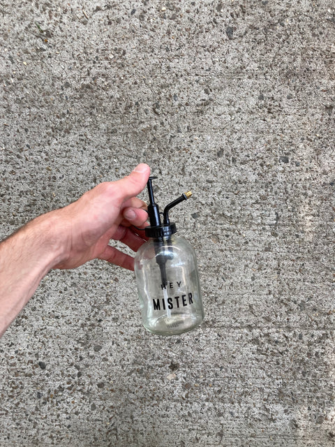 "Hey Mister" Plant Watering Mister Spray