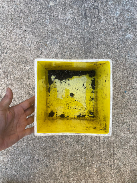 Ceramic Bright Yellow Planter, 7" all sides