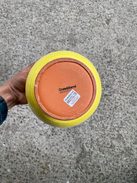 Crate & Barrell Yellow Pot