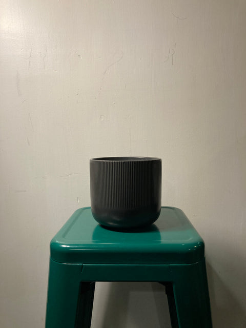 Medium Size Plant Pot