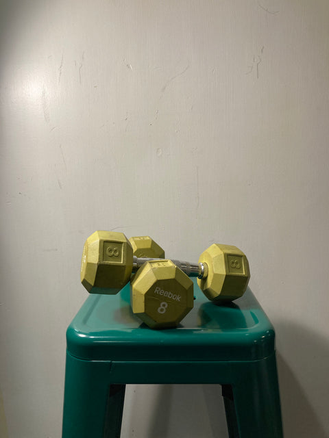 Pair of Dumbbells