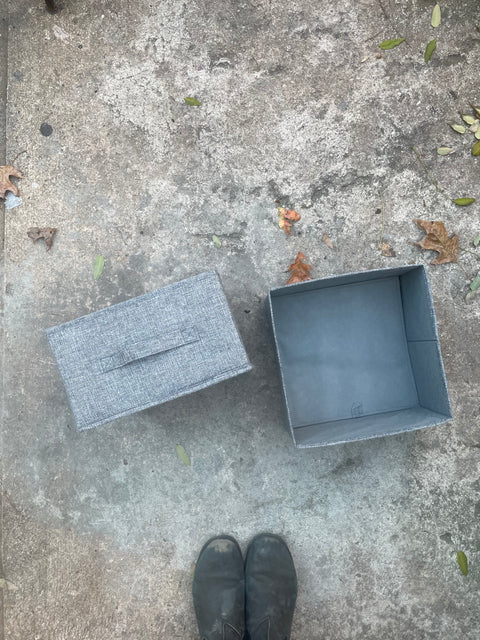 Two of These Fun Storage Organizers, 11.5x11.5x6"