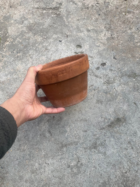 1 Italian-Made Terracotta Pot