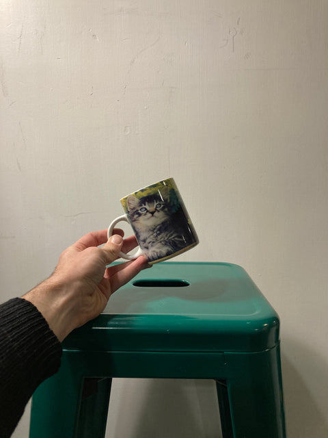 Ugly Cat Mug