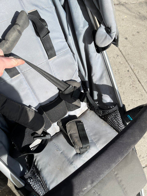 Thule Urban Glide 2 Jogging Stroller