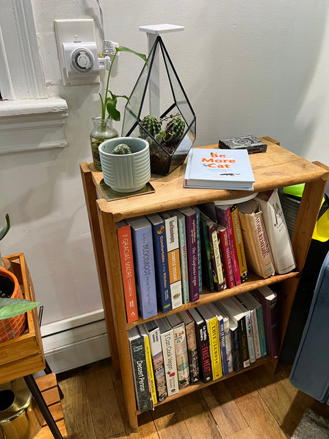 Small Solid Pine Wood Bookcase, W19xD10xH28"
