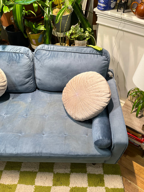 Blue Velvet Loveseat That Could Use A Wash, W59xD31xH23"