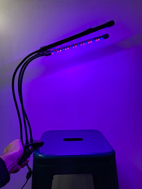 LED Clip Lights