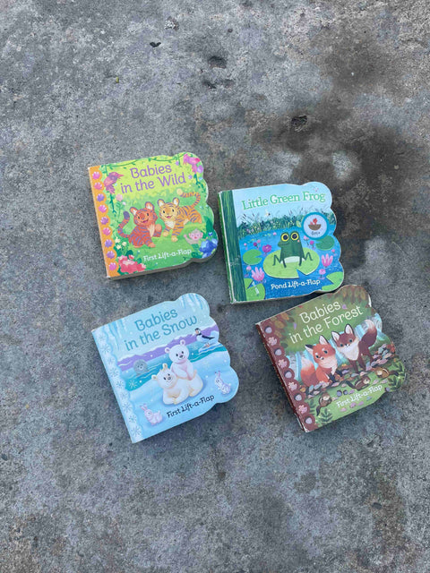 Lift-a-Flap Baby Books