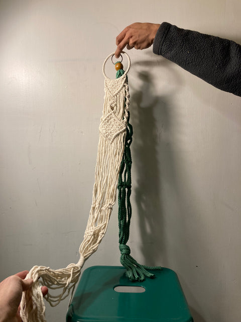 2 Plant Hangers