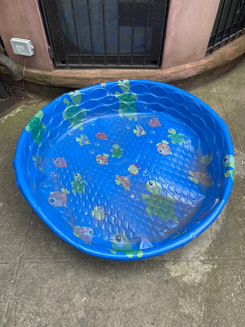Wading Kiddie Pool Fun Times