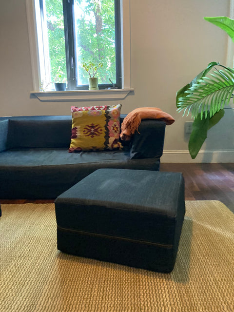 Modular Sleeper Loveseat