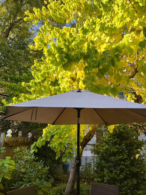 Patio Umbrella & Stand with Crank and Push Button to Tilt