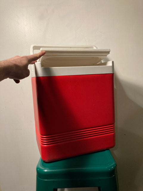 Igloo Cooler