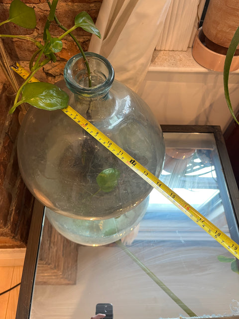 Pretty & Large Terrarium Glass Bottle + The Plant Too!