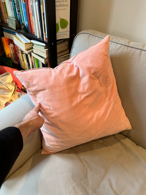 Pink Velvet Throw Pillow, 19x19"