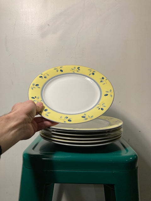 Set of Dinner Plates