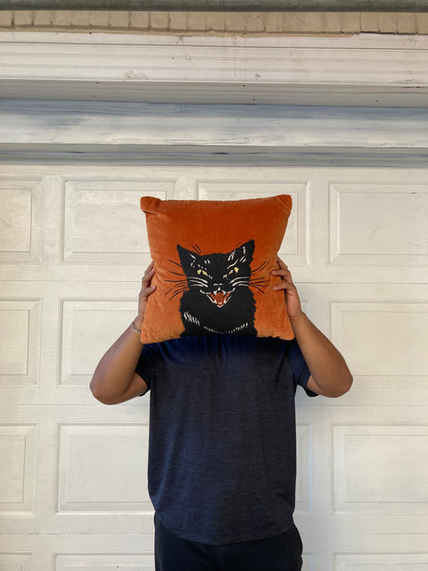 Nervous Cat Cushion