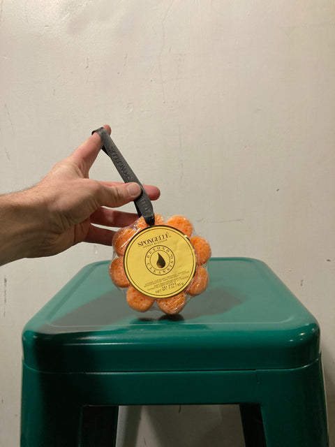 Soap Sponge