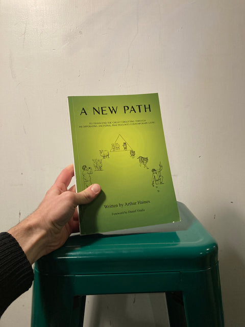 A New Path by Arthur Haines